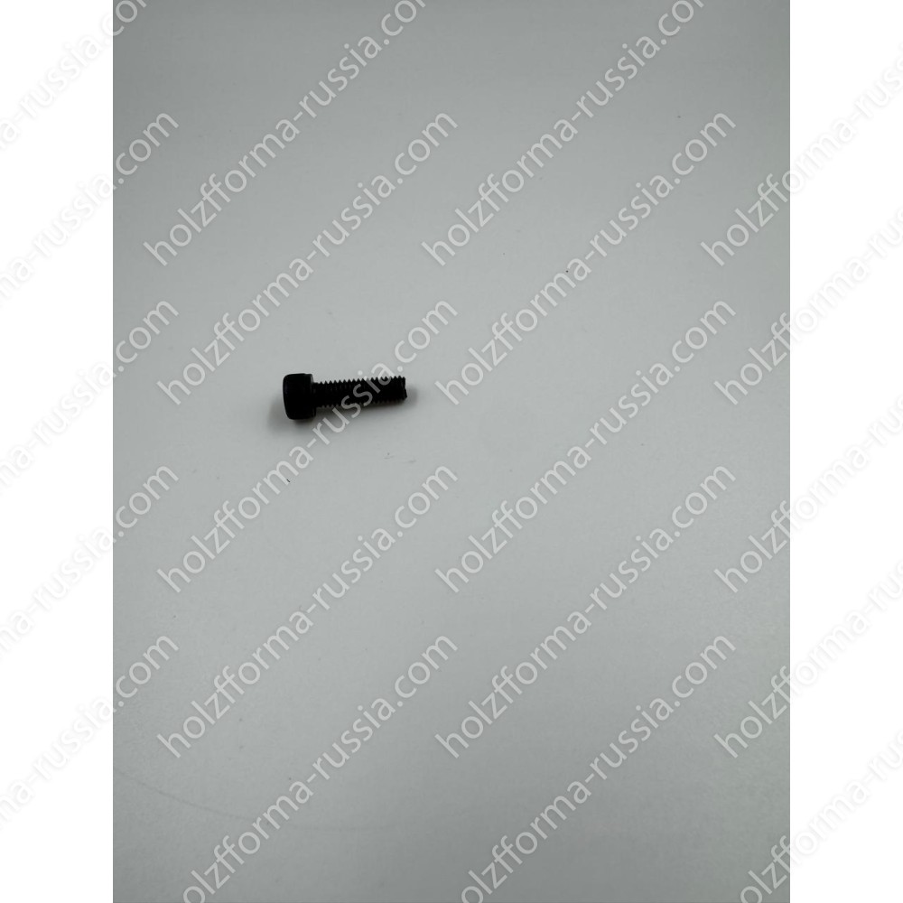 Винт M6x20 (7255370-55)