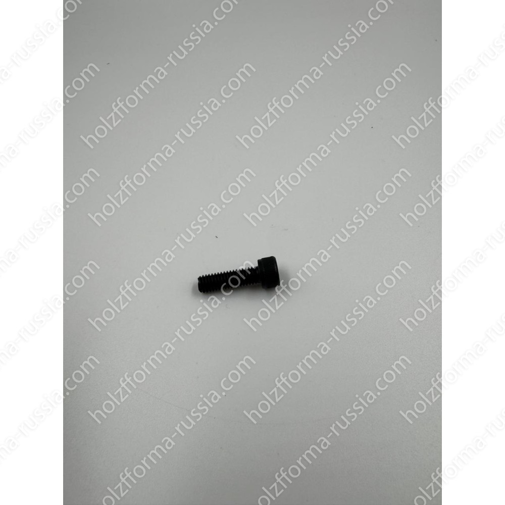 Винт M6x20 (7255370-55)